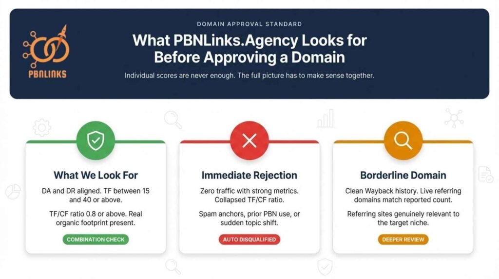 What We Look for at PBNLinks.Agency Before Approving a Domain