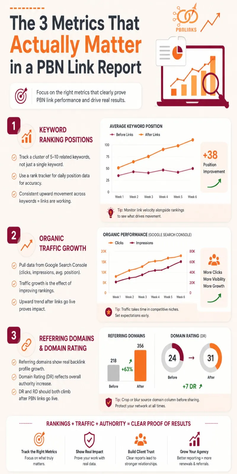 The Metrics That Actually Matter in a PBN Link Report infographic