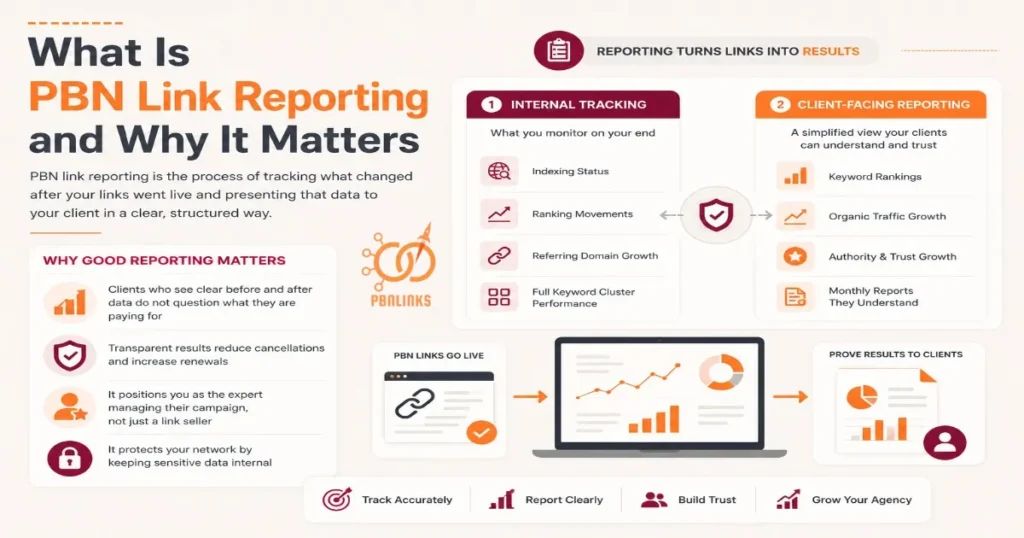 What Is PBN Link Reporting and Why It Matters