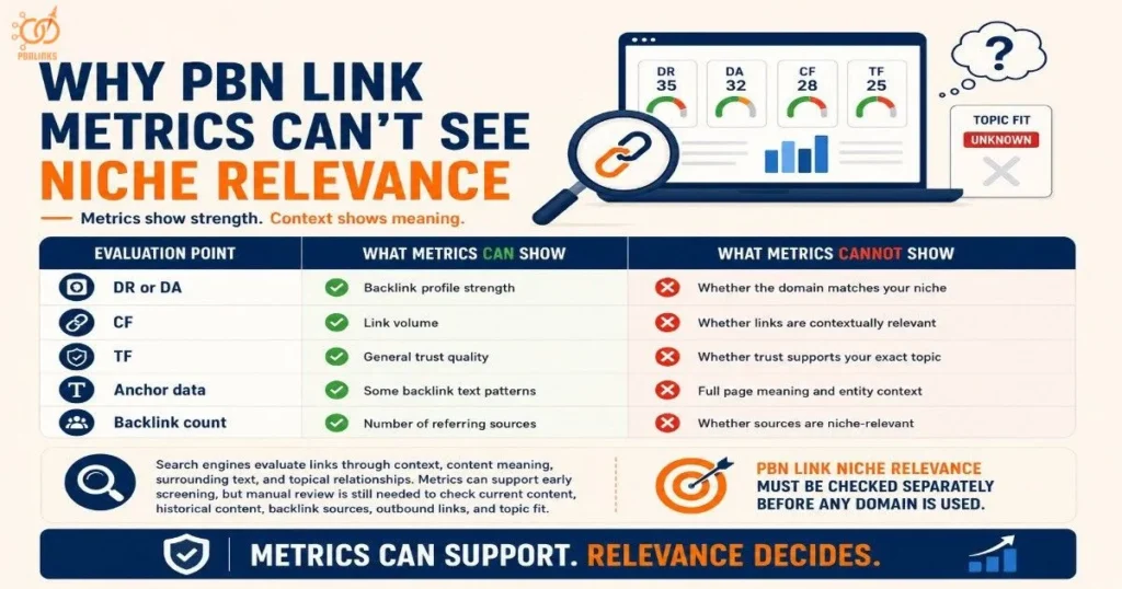 Why PBN Link Metrics Can't See Niche Relevance