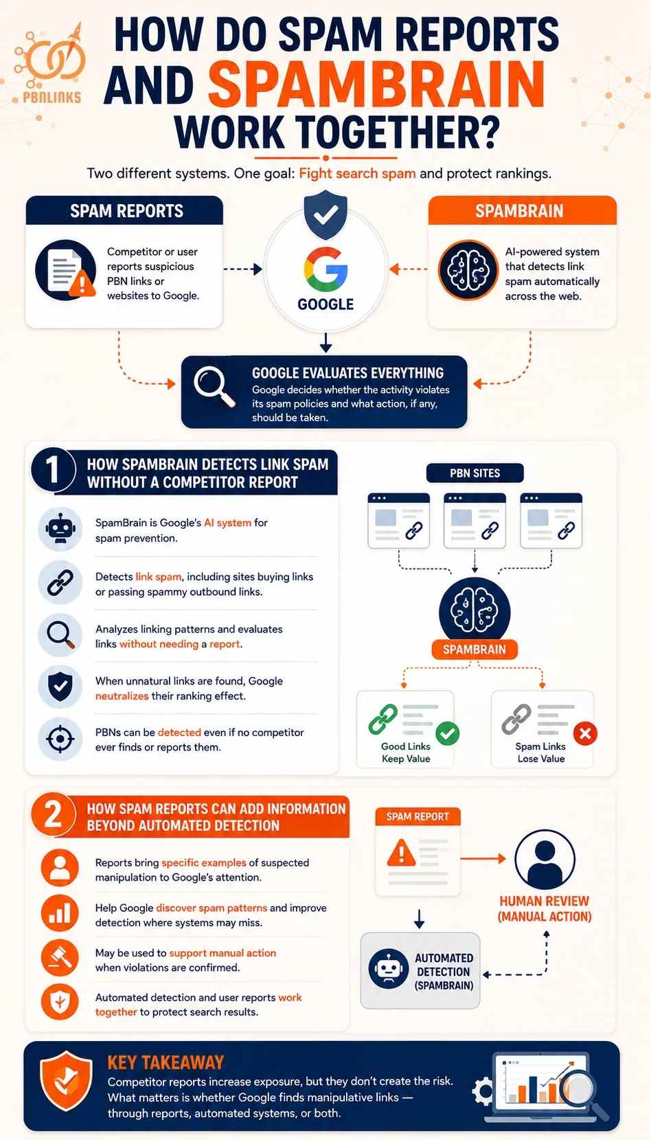 How Do Spam Reports and SpamBrain Work Together infographic?