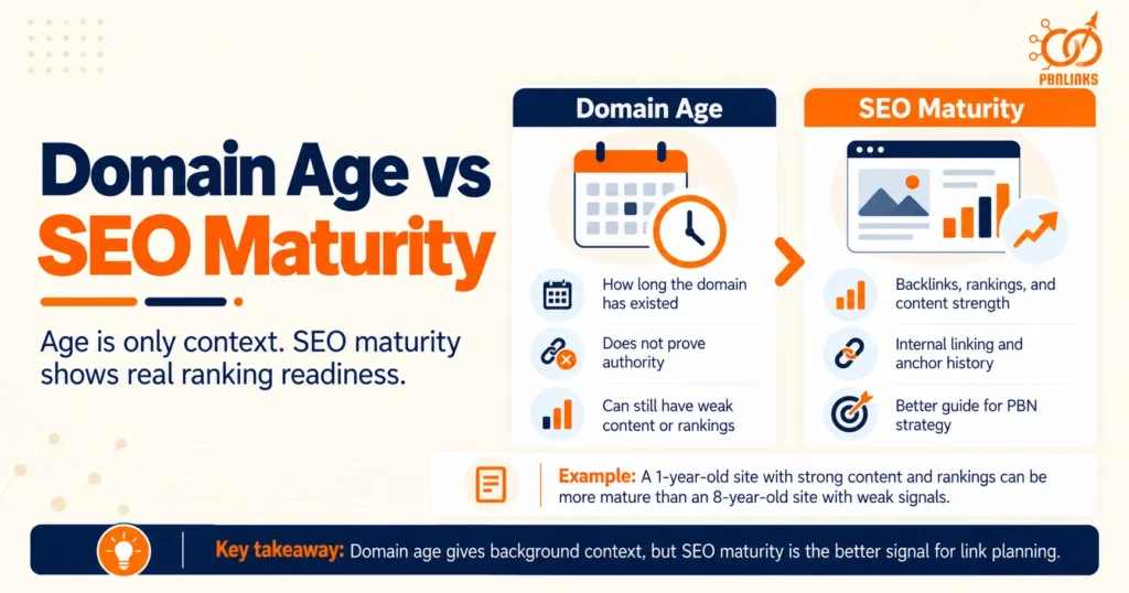 Domain Age vs SEO Maturity blog